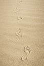 Bare feet footprints on sand. Walking on beach Royalty Free Stock Photo