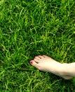 Bare feet on green grass Royalty Free Stock Photo