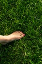 Bare feet on green grass Royalty Free Stock Photo