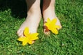 bare feet in green grass with yellow flowers Royalty Free Stock Photo