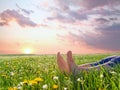 Bare Feet On Spring Grass And Flowers