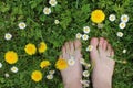 Bare feet on spring grass, flowers Royalty Free Stock Photo