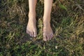 Bare Female Feet On A Grass