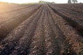 Bare field with dark soil Royalty Free Stock Photo