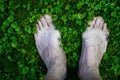 Bare foot outside  on wet grass Royalty Free Stock Photo