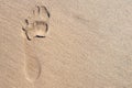 Bare Footprint In Sand Royalty Free Stock Photo