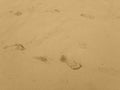 Bare footprints in seasand of parent and child Royalty Free Stock Photo