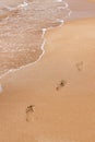 Bare footprints at sunset on golden beach sand. Seashore, wave and footsteps in sunlight. Beauty in nature. Summer Royalty Free Stock Photo