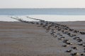 bare footstep leaving the water. bare footprints in the mud. therapeutic clay