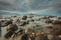 Bare Island (Motu-O-Kura). Hawke's Bay. New Zealand