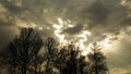 Bare dead leafless tree crown branches against grey cloudy sky with some sun light coming through the clouds. Coming storm. Royalty Free Stock Photo