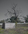 A bare, leafless tree stands beside a small, rectangular concrete structure in an open field.
