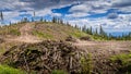 Industrial Clear Cut Logging in the Shuswap Highlands of British Columbia Royalty Free Stock Photo