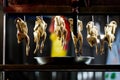 Bare naked chicken hanging down on a streetfood market