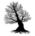 Bare Root Bare Tree, Silhouette Vector on White Background Royalty Free Stock Photo