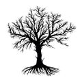 Bare Root and Tree Vector, Silhouette Vector on White Background Royalty Free Stock Photo