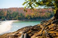 Bare Roots Over Chapel Rock - Pictured Rocks National Lakeshore - Michigan Royalty Free Stock Photo