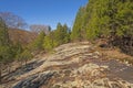 Bare Sandstone Ridge in Amogst the Trees Royalty Free Stock Photo