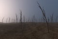 Bare saplings and barren hillsides,3d rendering