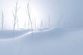 Bare saplings and barren hillsides,3d rendering