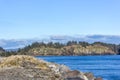 Bare shore line with trres and driftwood in washington state Royalty Free Stock Photo