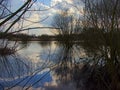 Bare shrubs and trees reflecting in the water Royalty Free Stock Photo