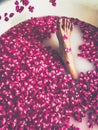 Bare leg of Asian woman exposed above luxury rose petal bath. Royalty Free Stock Photo