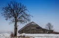 Bare tree and barn Royalty Free Stock Photo