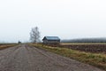 Bare Tree by a Barn House Royalty Free Stock Photo