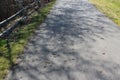 Bare tree branch shadows on the walkway Royalty Free Stock Photo