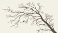 Bare Tree Branch with Winter Birds, vector design Generative AI Royalty Free Stock Photo