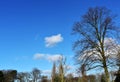 Bare tree branches against blue sky Royalty Free Stock Photo