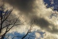 Bare tree branches against the dark cloudy sky Royalty Free Stock Photo