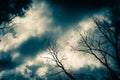 Bare tree branches against the dark cloudy sky at night. Royalty Free Stock Photo