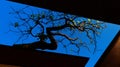 Bare Tree Branches Against a Vibrant Blue Sky Seen Through Dark Frames Royalty Free Stock Photo