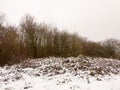 bare tree branches winter scene nature landscape outside snow Royalty Free Stock Photo