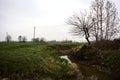 Bare tree by the edge of a stream of water next to a cultivated field on a cloudy day in the italian countryside Royalty Free Stock Photo