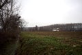 Bare tree by the edge of a stream of water next to a cultivated field on a cloudy day in the italian countryside Royalty Free Stock Photo