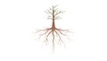 Bare tree with exposed roots, symbolizing deep connection and foundation. vector design Generative AI Royalty Free Stock Photo