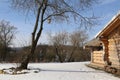 Bare tree in front of a Finnish sauna in winter