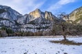 Bare tree in front of snowy mountains in Yosemite National Park California Royalty Free Stock Photo