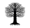 Bare Tree Isolated Vector Illustration Royalty Free Stock Photo