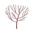 Bare tree with naked branches and trunk. Forest plant with dry dead twigs. Abstract botanical flat vector illustration Royalty Free Stock Photo