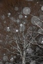 Snowing In Darkness Royalty Free Stock Photo