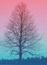 Bare tree with red and blue color overlay