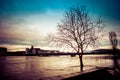 Bare tree by the river during the flood in late afternoon Royalty Free Stock Photo