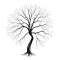 Bare Tree Silhouette Abstract Decision Tree Concept Royalty Free Stock Photo