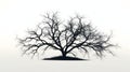 Bare Tree Silhouette Against a White Background Royalty Free Stock Photo