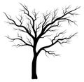 Bare tree silhouette vector symbol icon design. Royalty Free Stock Photo