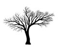 Bare tree silhouette vector symbol icon design. Royalty Free Stock Photo